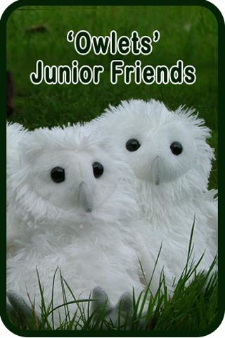 Owlets – Junior Friends of the Barn Owl Trust