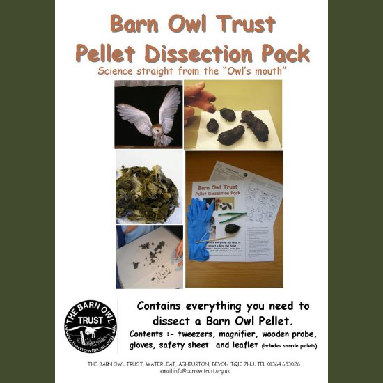 Barn Owl Trust Pellet Dissection Pack Front Cover