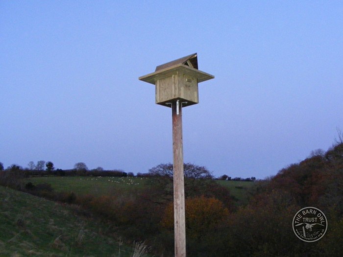 Pole-mounted barn owl box plans
