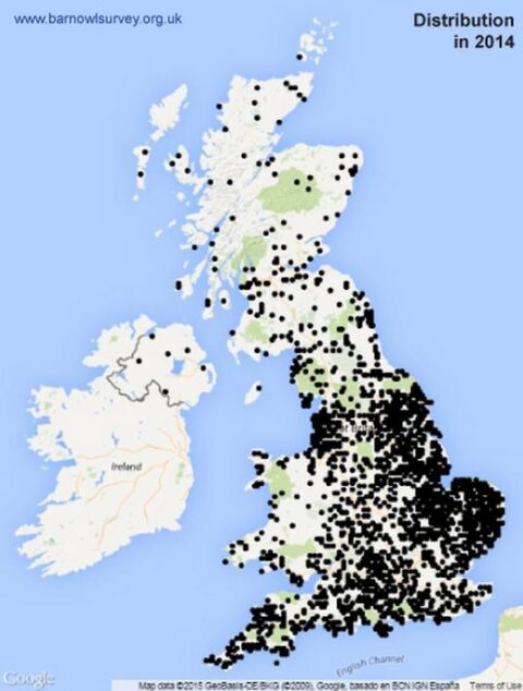 State of the UK Barn Owl Population 2014 - The Barn Owl Trust