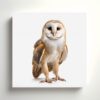 Barn owl print