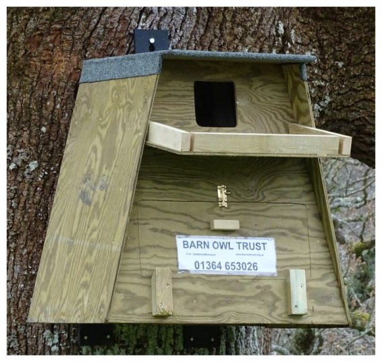 Barn Owl box for trees Outdoor Nestbox direct from the Barn Owl Trust