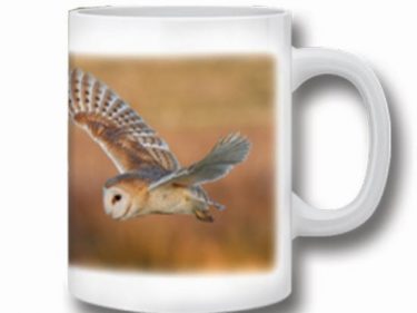 Ceramic Barn Owl Mug