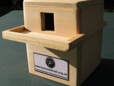 Barn Owl Trust Money Box Side View