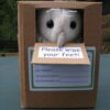 Barn Owl Trust Owlet In Box