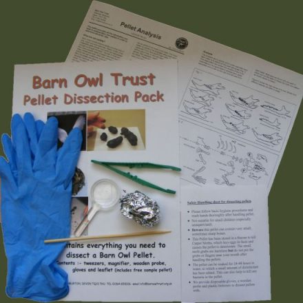 Barn Owl Pellet Analysis And Dissection - The Barn Owl Trust