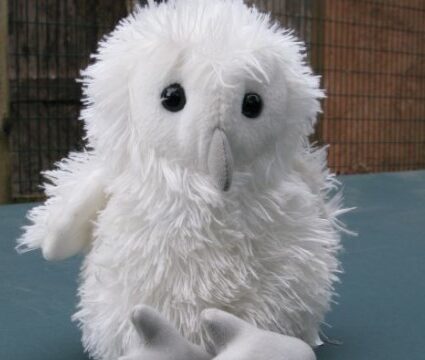 Barn owl trust toy owlet 500x360 1