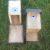 Barn Owl Trust Two Small Bird Boxes Open