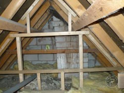 Barn Owl Loft Partition Construction 03