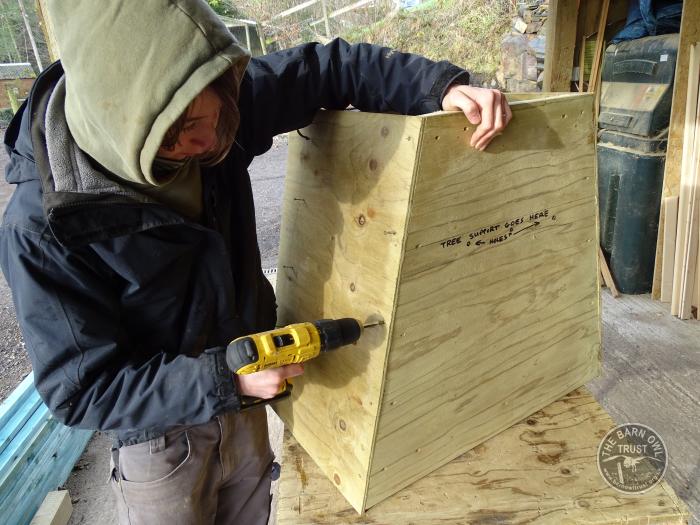 How To Build A Barn Owl Nestbox For A Tree - The Barn Owl Trust