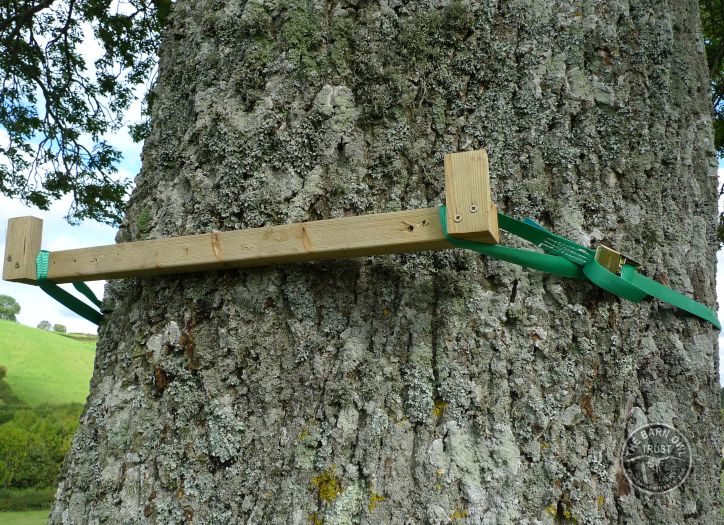 Erecting A Barn Owl Treebox 14