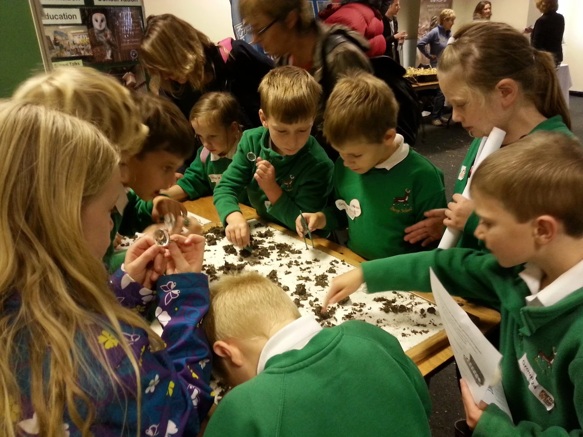 Schoolchildren crowd around a table of dissected pellets at an educational event