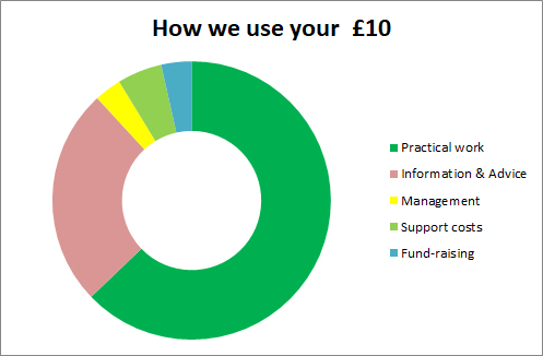 £10 donation pie chart