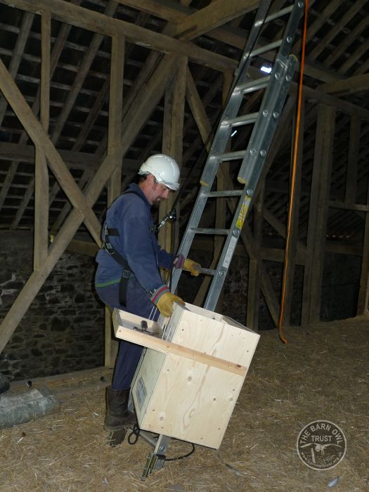 Indoor Barn Owl Nestbox Erection 05