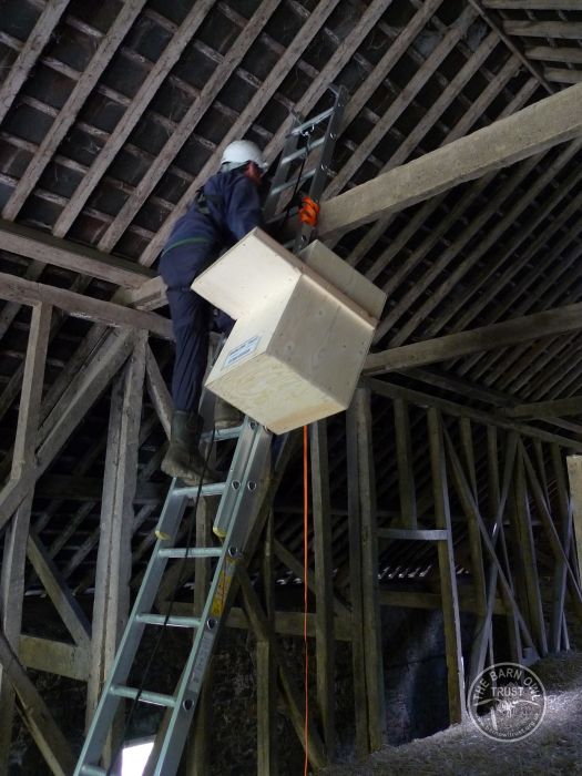 Indoor Barn Owl Nestbox Erection 06