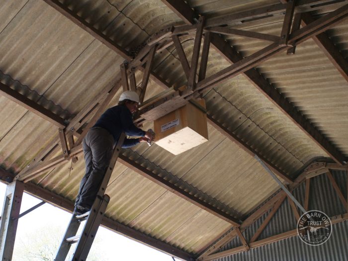 Indoor Barn Owl Nestbox Erection 08