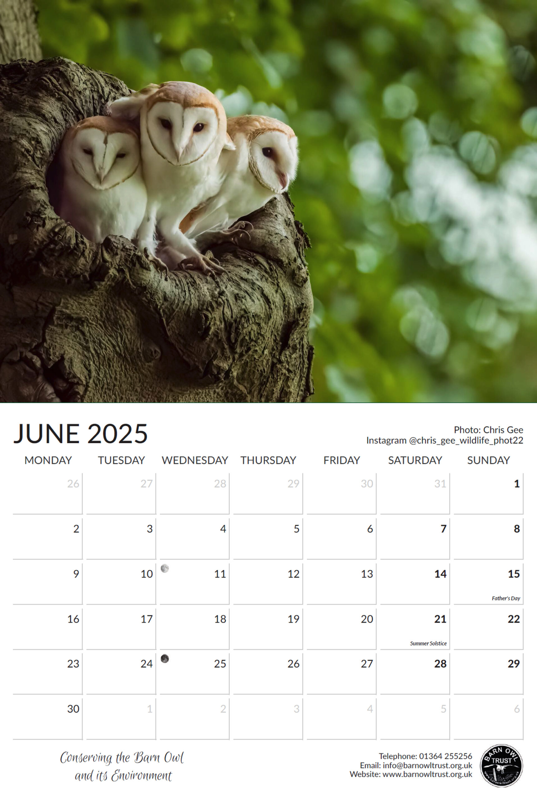 Barn Owl Calendar 2025 The Barn Owl Trust