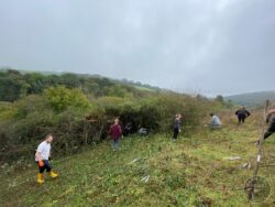 National grid blackthorn clearance (1)