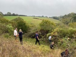 National grid blackthorn clearance (2)