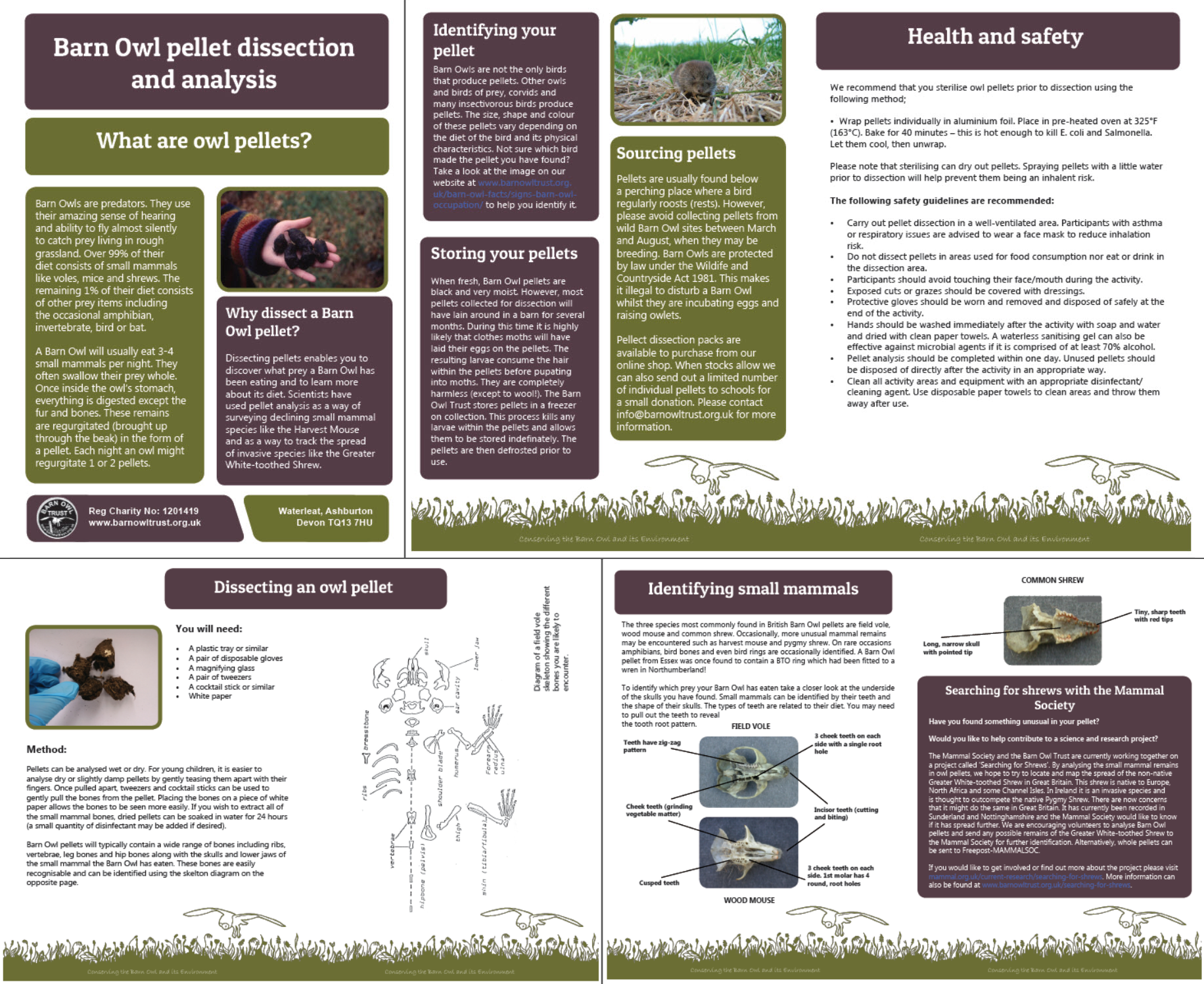 Pellet leaflet