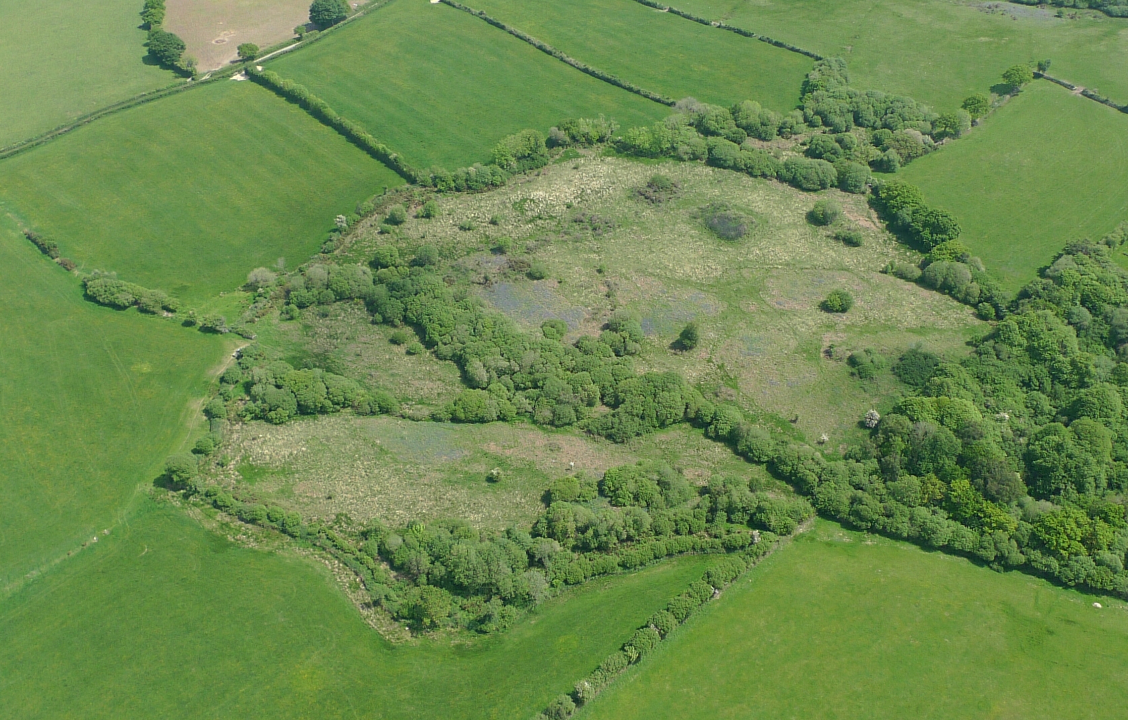 Scrub grassland aerial [david ramsden] 190511 (a)