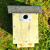 Small bird box front