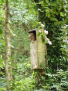 Tawny Owl nestboxes - The Barn Owl Trust