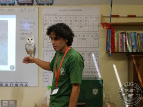 Barn Owl talks for schools and young people - The Barn Owl Trust