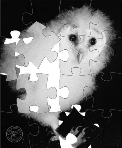 super smash bros ultimate world of dark owl puzzles
