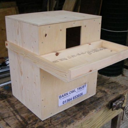 Nestboxes for owls and small birds - from the Barn Owl Trust