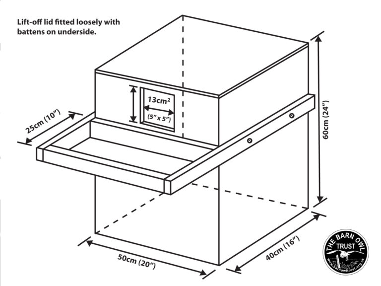 Barn Owl nestboxes: Free owl nest box plans