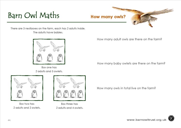 how-many-owls-worksheet-ks1-the-barn-owl-trust