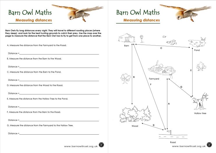 Measuring distances worksheet - The Barn Owl Trust