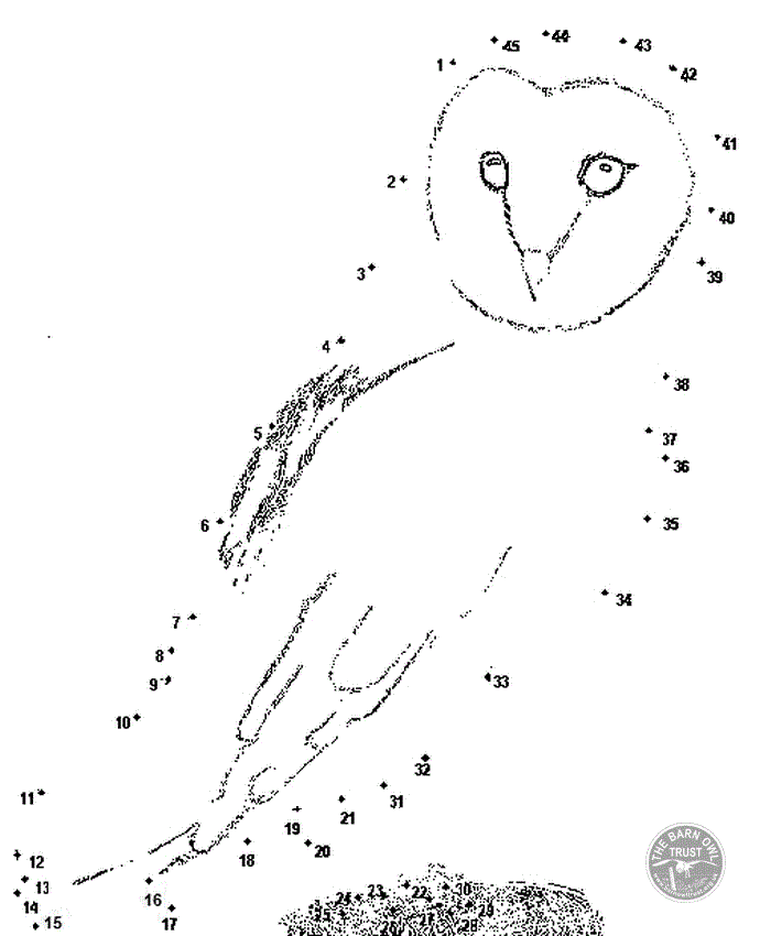 Dot-to-dot Barn Owl Puzzle - The Barn Owl Trust