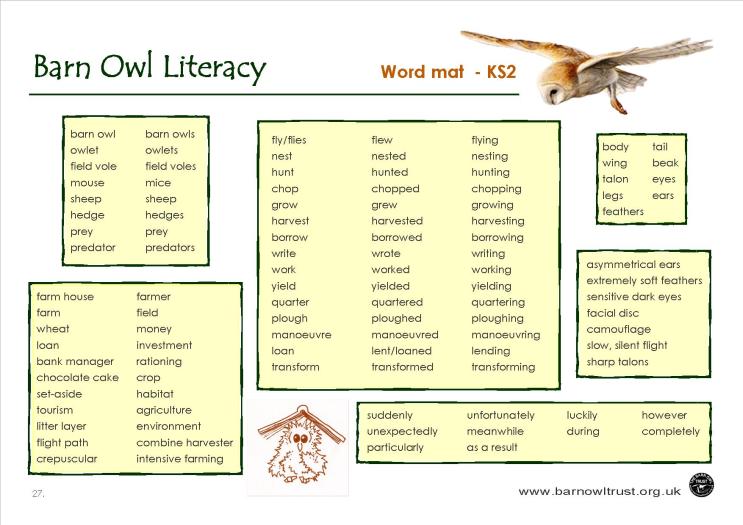 Transform words. Adjectives for Owl. Owl Word. Text about Owls for Kids. Owl Vocabulary game.